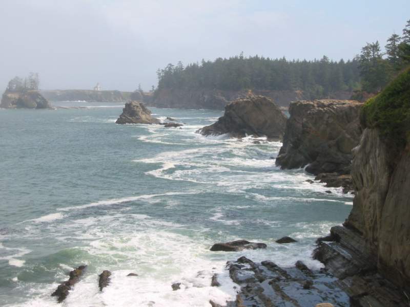 <i><b>237-Cape Arago</b></i>